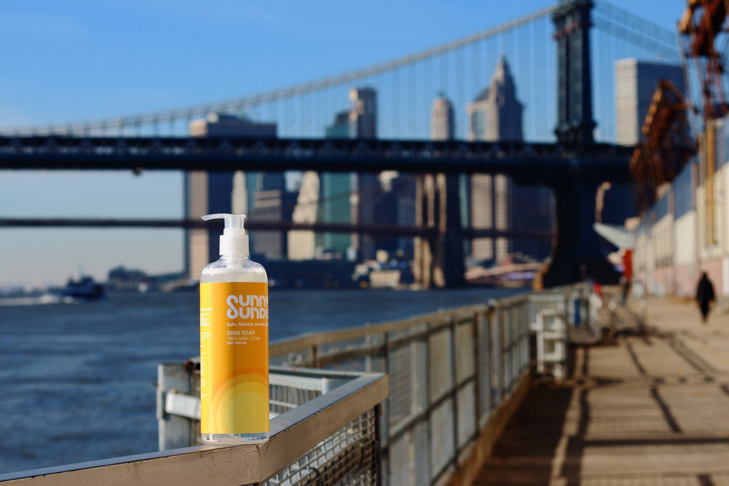 Dish Soap (16 fl. oz.)